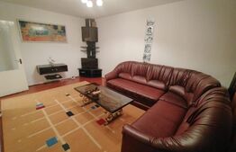 Apartament de 2 camere, Centrala termica, Aer conditionat, zona 1 Mai