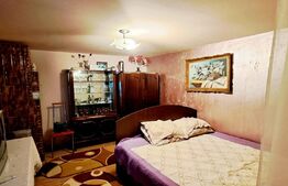 Casa P+1, 145 mp utili și 941 mp teren, zona Bariera Valcii!