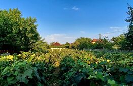 Casa P+1, 145 mp utili și 941 mp teren, zona Bariera Valcii!