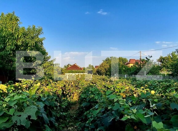 Casa de vânzare 7 camere Bariera Valcii - 125405CV | BLITZ Craiova | Poza19