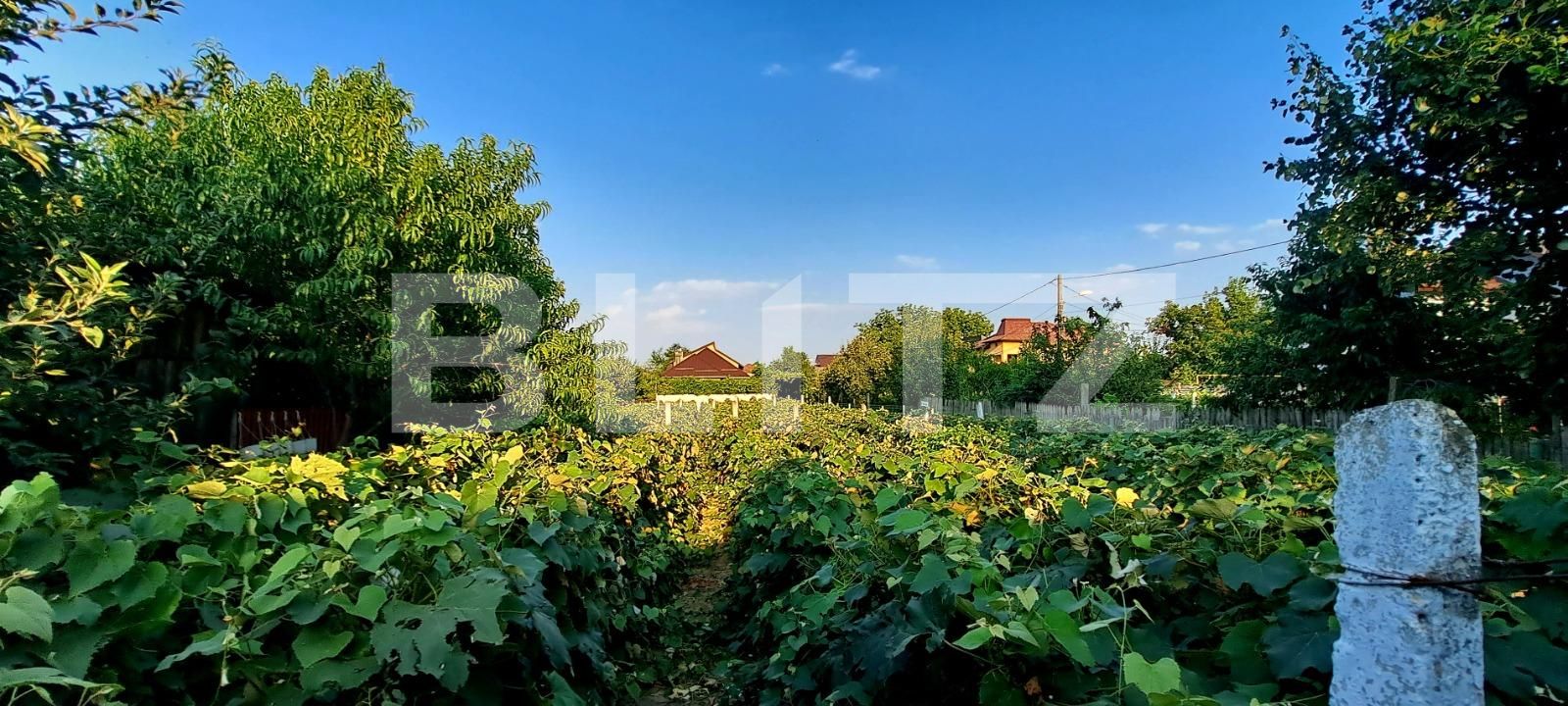 Casa de vânzare 7 camere Bariera Valcii - 125405CV | BLITZ Craiova | Poza19