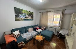 Cameră de cămin, parter, zona Intim - Lăpuș