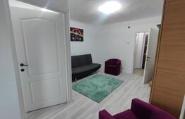 Garsoniera, etajul 1, zona Lapus-Intim