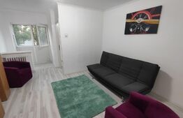 Garsoniera, etajul 1, zona Lapus-Intim