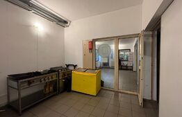 Spațiu comercial S + P, vad bun, 221 mp, zona Valea Roșie