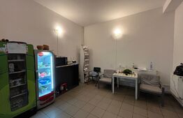 Spațiu comercial S + P, vad bun, 221 mp, zona Valea Roșie