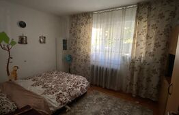 Apartament de 2 camere, parter, Craiovita Noua, zona Bigul Vechi