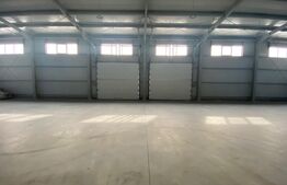 Hala depozitare clasa A, 490 mp, 450 mp teren, construcție noua, zona Nord 