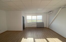 Hala depozitare clasa A, 490 mp, 450 mp teren, construcție noua, zona Nord 