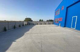 Hala depozitare clasa A, 490 mp, 450 mp teren, construcție noua, zona Nord 