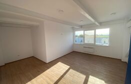 Hala depozitare clasa A, 490 mp, 450 mp teren, construcție noua, zona Nord 