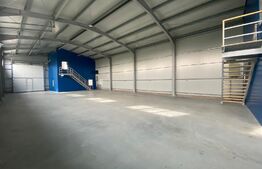 Hala depozitare clasa A, 490 mp, 450 mp teren, construcție noua, zona Nord 