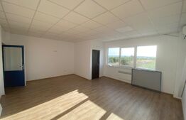 Hala depozitare clasa A, 490 mp, 450 mp teren, construcție noua, zona Nord 