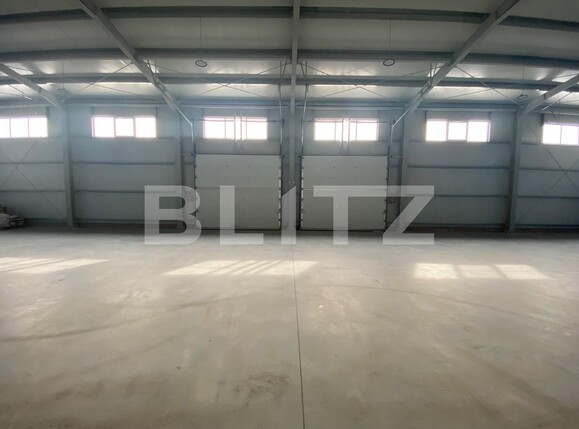 Spațiu industrial de închiriat Nord - 125630SII | BLITZ Craiova | Poza4