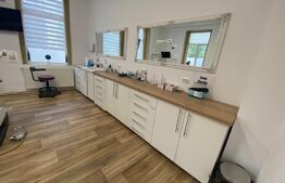 Casa cu destinație comercială, 123 mp, parcare privata, zona Ultracentrală