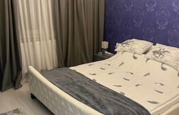 Apartament 3 camere decomandat, 69 mp, Lapus Arges, zona Trenul Pierdut