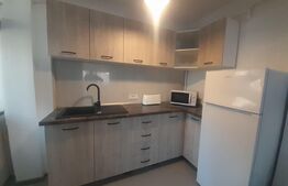 Apartament 2 camere+terasa, zona Universitatea de Medicina, Spitalul de Urgente