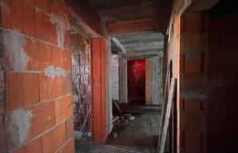 Casă S + P + E de 289 mp utili la roșu, pe un teren de 572 mp, Bariera Vâlcii