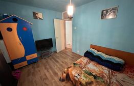 Apartament Semidecomandat de 2 Camere, Calea București - Teatrul Colibri