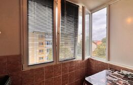 Apartament 2 camere, decomandat, zona Baba lui Novac, Brazda 