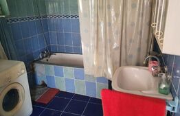 Casa 5 camere, 250 mp, Brestei