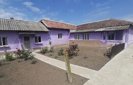 Casa 5 camere, 130 mp, teren, 1165 mp, Podari