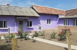 Casa 5 camere, 130 mp, teren, 1165 mp, Podari