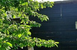 Casa 5 camere, 130 mp, teren, 1165 mp, Podari