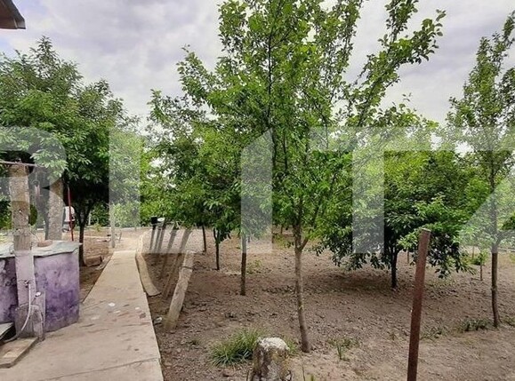 Casa de vânzare 5 camere Podari - 125932CV | BLITZ Craiova | Poza7