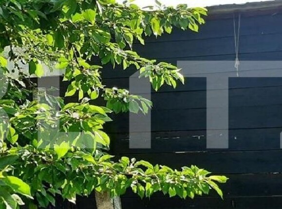 Casa de vânzare 5 camere Podari - 125932CV | BLITZ Craiova | Poza8