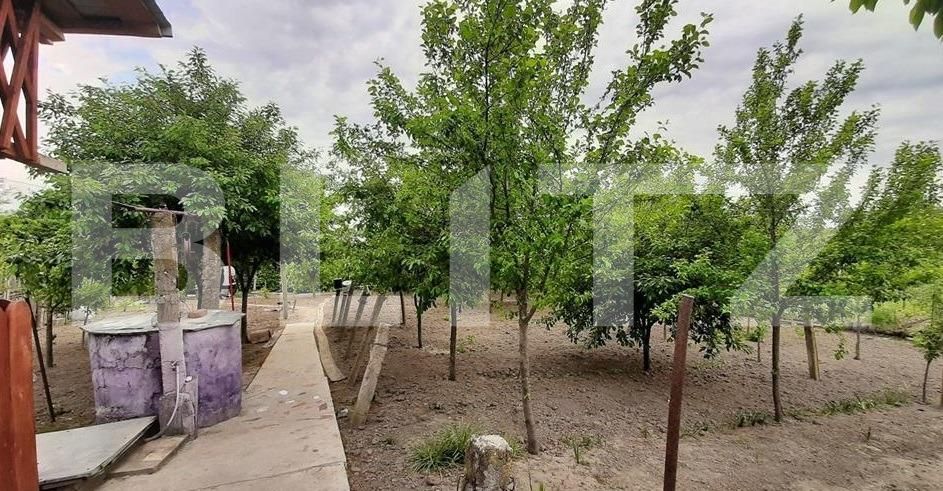 Casa de vânzare 5 camere Podari - 125932CV | BLITZ Craiova | Poza7