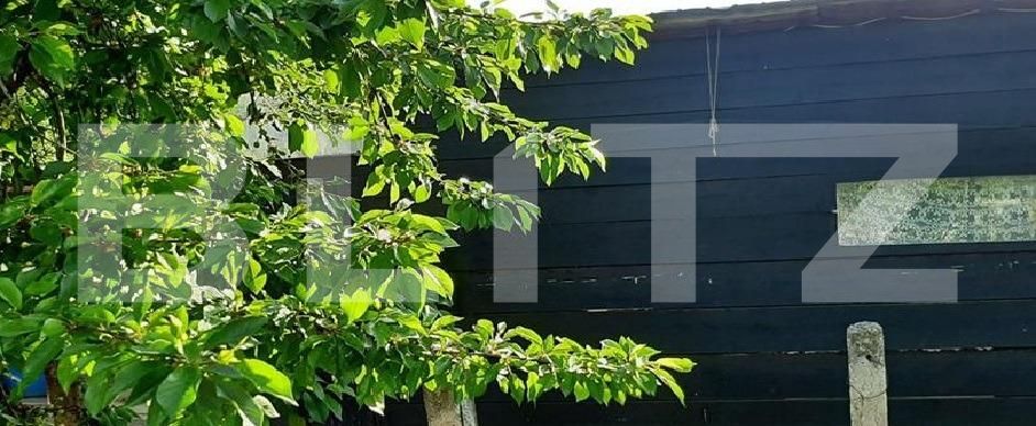 Casa de vânzare 5 camere Podari - 125932CV | BLITZ Craiova | Poza8