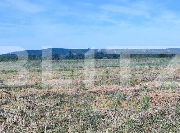 Casa de vânzare 4 camere Nord-Vest - 125934CV | BLITZ Craiova | Poza5