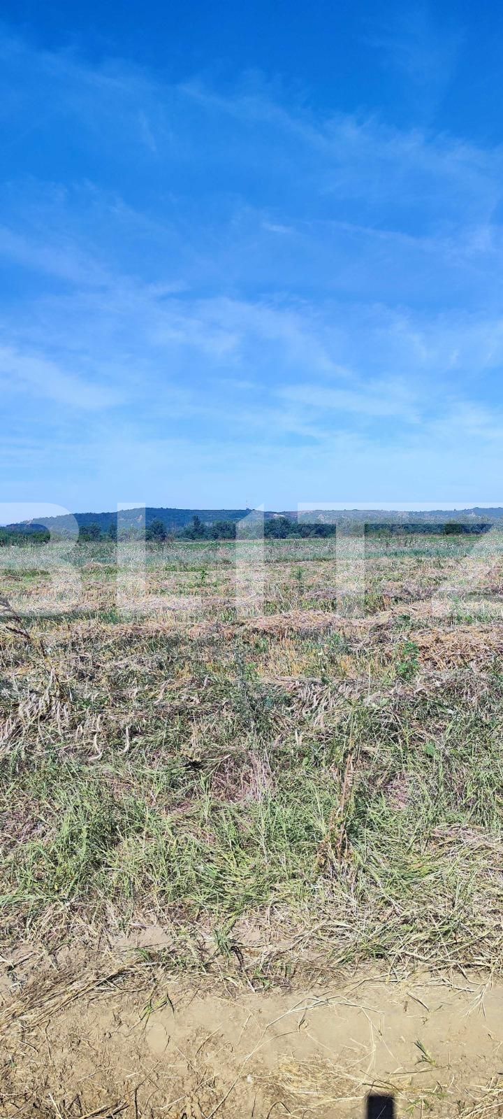 Casa de vânzare 4 camere Nord-Vest - 125934CV | BLITZ Craiova | Poza5