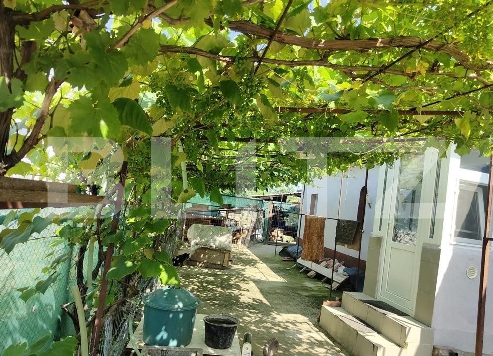 Casa de vânzare 3 camere Periferie - 125935CV | BLITZ Craiova | Poza3