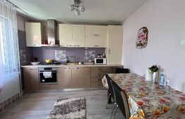 Casă pe parter cu anexă, 104 mp utili, 295 mp teren, Brestei