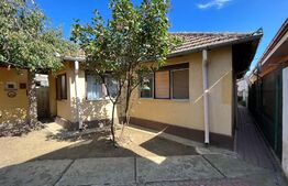 Casă pe parter cu anexă, 104 mp utili, 295 mp teren, Brestei