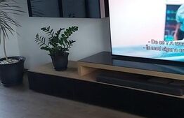 Casa 4 camere, 220 mp, Exterior Nord