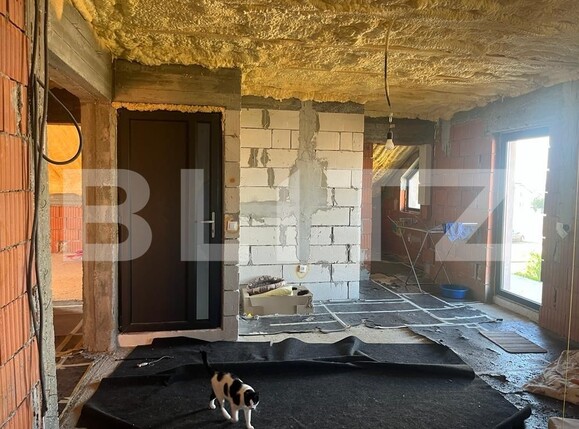 Casa de vânzare 7 camere Malu Mare - 126036CV | BLITZ Craiova | Poza14