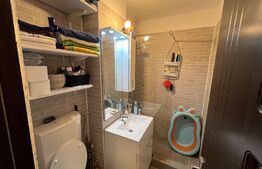 Garsonieră modernă, renovată, în cartierul Lăpuș, zona Intim