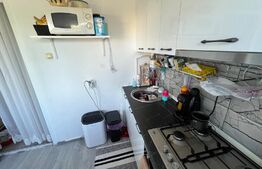 Garsonieră modernă, renovată, în cartierul Lăpuș, zona Intim