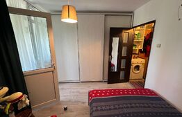 Garsonieră modernă, renovată, în cartierul Lăpuș, zona Intim