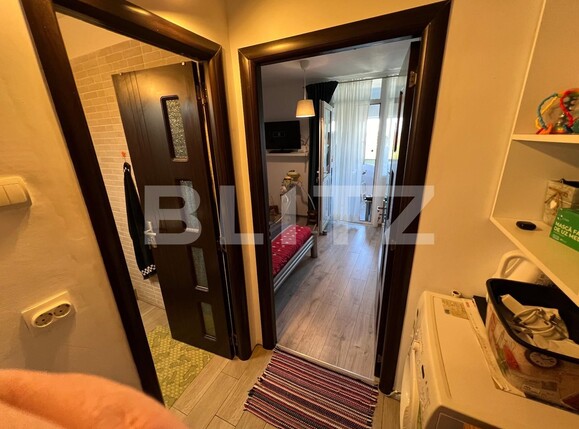 Garsonieră de vânzare Lapus Arges - 126079AV | BLITZ Craiova | Poza9