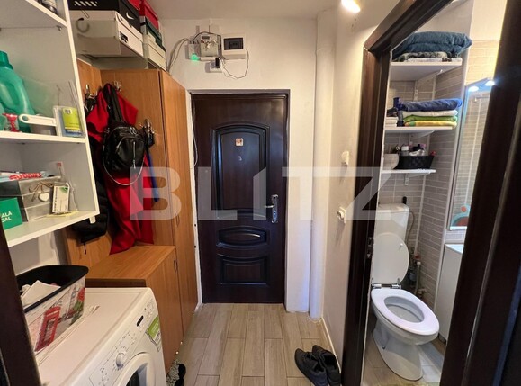 Garsonieră de vânzare Lapus Arges - 126079AV | BLITZ Craiova | Poza8
