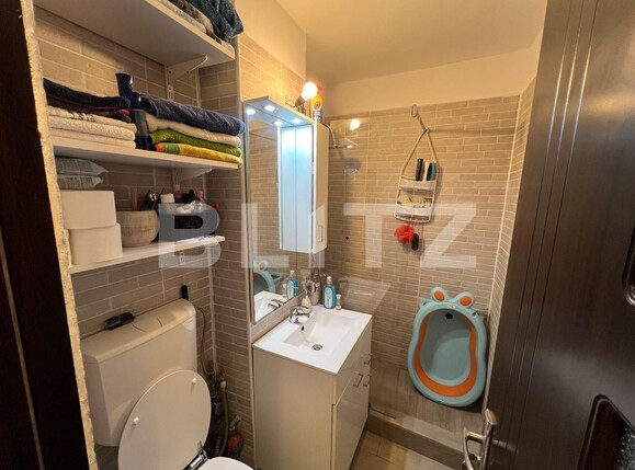 Garsonieră de vânzare Lapus Arges - 126079AV | BLITZ Craiova | Poza10