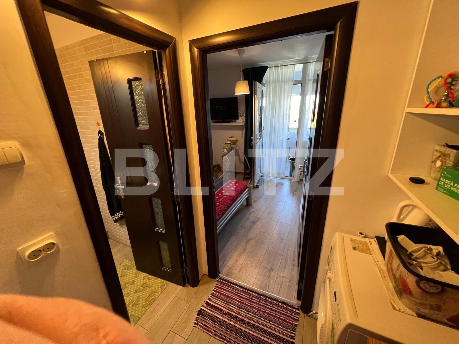 Garsonieră de vânzare Lapus Arges - 126079AV | BLITZ Craiova | Poza9