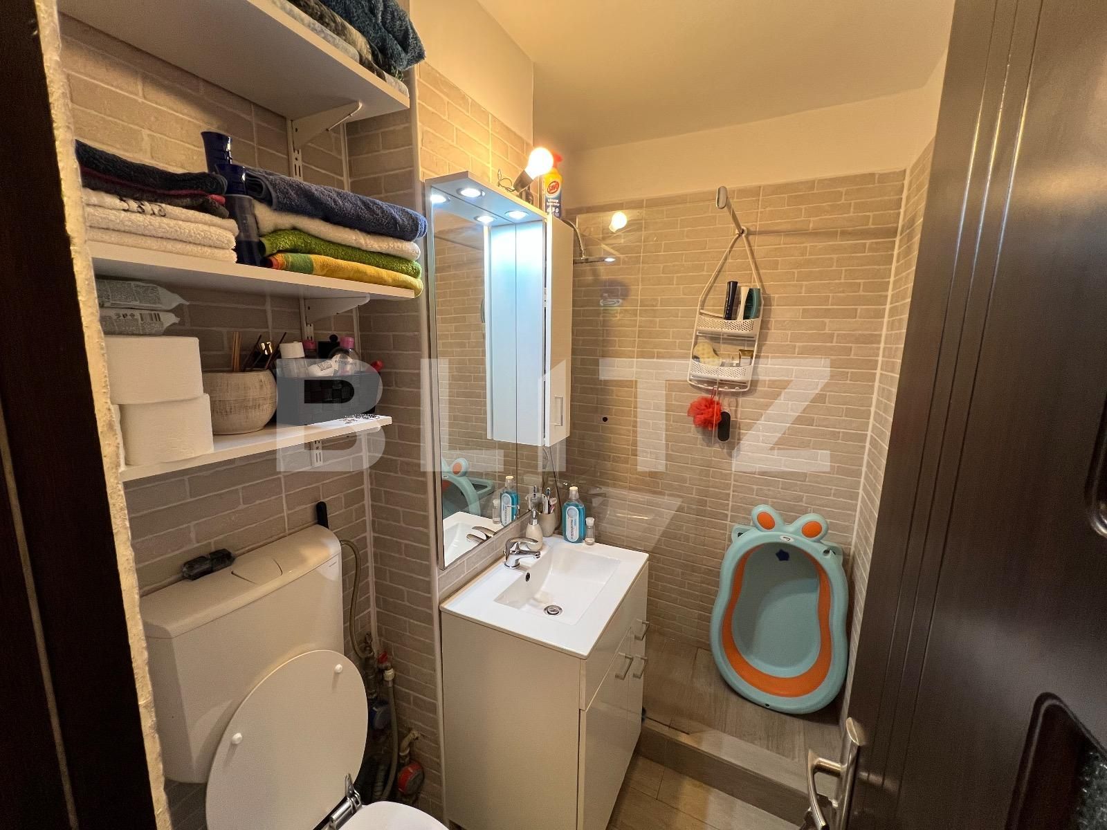 Garsonieră de vânzare Lapus Arges - 126079AV | BLITZ Craiova | Poza10