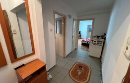Apartament de 2 camere, zona Simplon - Brazda lui Novac, perfect pentru cupluri tinere