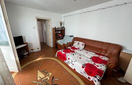 Apartament de 2 camere, zona Simplon - Brazda lui Novac, perfect pentru cupluri tinere