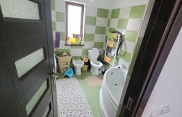 Casa 3 camere, 80mp utili, Peajba Nouă
